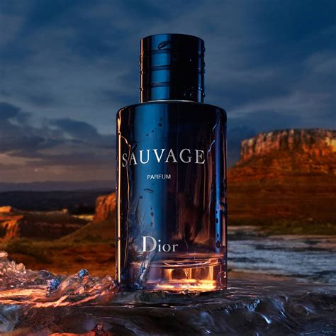 perfumy dior sauvage cena|dior sauvage 100ml best price.